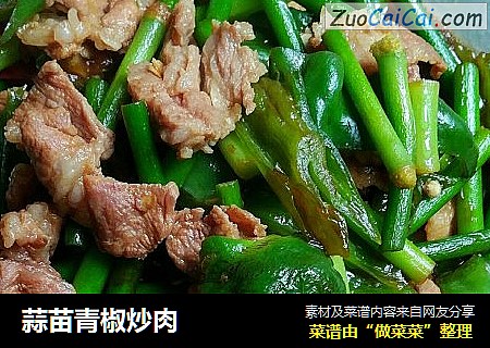 蒜苗青椒炒肉