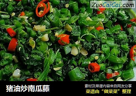 猪油炒南瓜藤