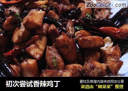 初次尝试香辣鸡丁