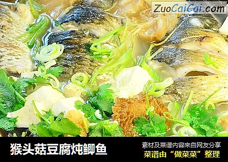 猴头菇豆腐炖鲫鱼