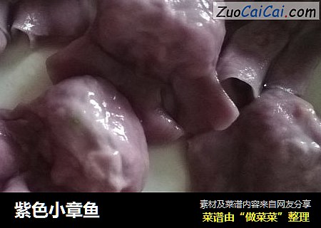 紫色小章鱼