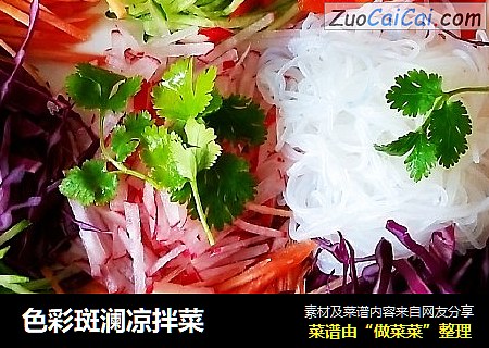 色彩斑澜凉拌菜