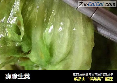爽脆生菜