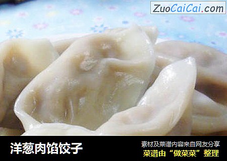 洋葱肉馅饺子