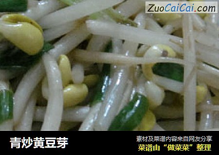 青炒黄豆芽