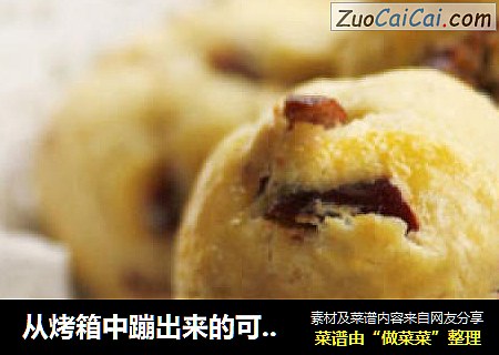 从烤箱中蹦出来的可爱球球-----------红枣奶酥球