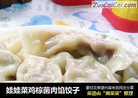 娃娃菜鸡棕菌肉馅饺子