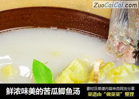 鲜浓味美的苦瓜鲫鱼汤