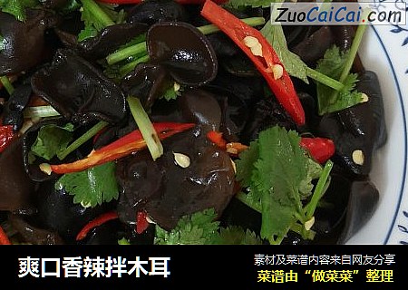 爽口香辣拌木耳