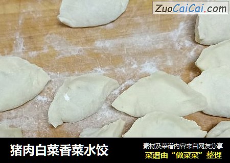 猪肉白菜香菜水饺