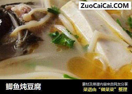 鲫鱼炖豆腐