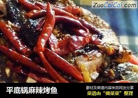 平底锅麻辣烤鱼