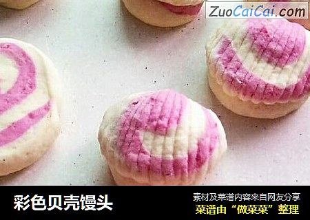 彩色贝壳馒头