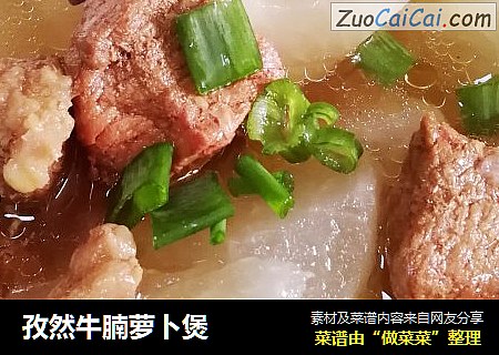 孜然牛腩萝卜煲
