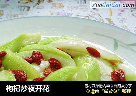 枸杞炒夜开花