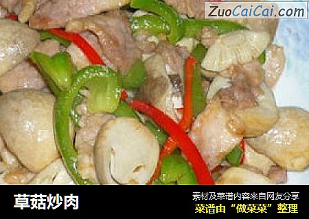 草菇炒肉