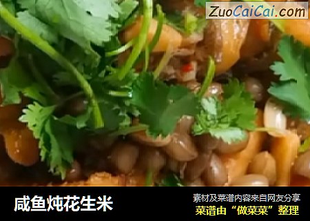 咸鱼炖花生米