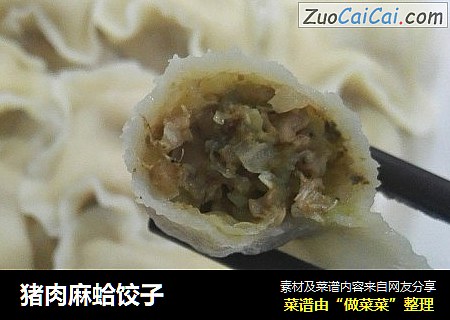猪肉麻蛤饺子