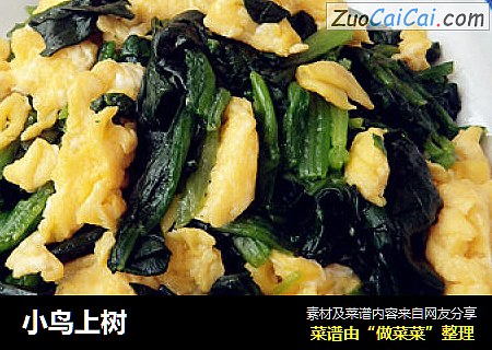 小鸟上树