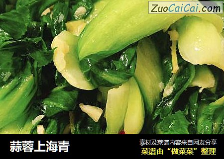 蒜蓉上海青