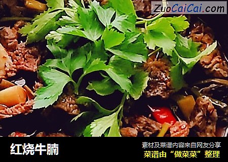 红烧牛腩