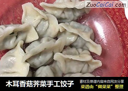 木耳香菇荠菜手工饺子