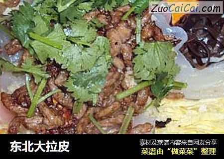 东北大拉皮