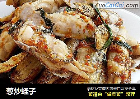 葱炒蛏子