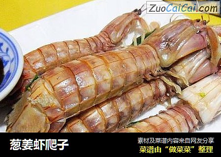 葱姜虾爬子
