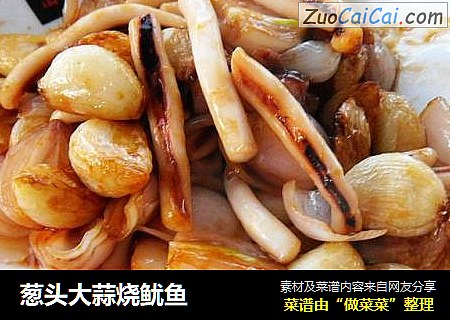 葱头大蒜烧鱿鱼
