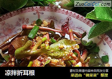 凉拌折耳根
