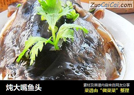 炖大嘴鱼头