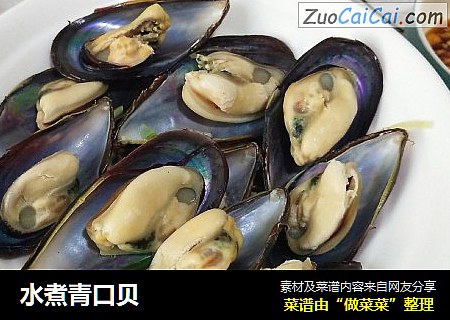 水煮青口贝