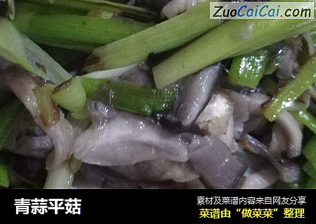 青蒜平菇