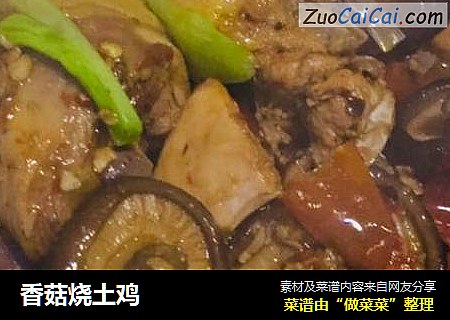 香菇烧土鸡