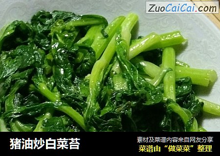 猪油炒白菜苔