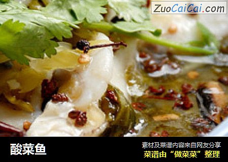 酸菜鱼