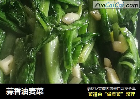蒜香油麦菜