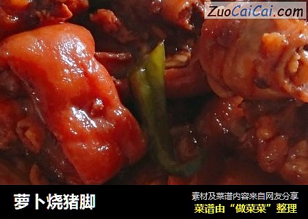 萝卜烧猪脚