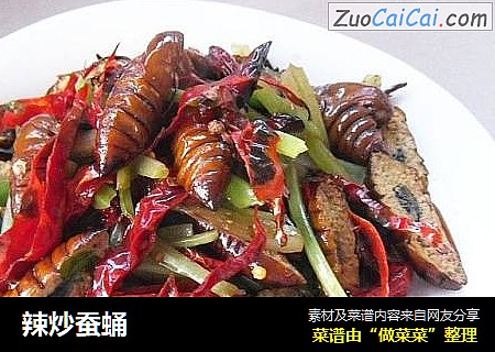 辣炒蚕蛹