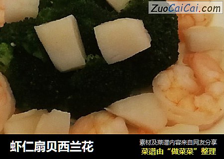 虾仁扇贝西兰花