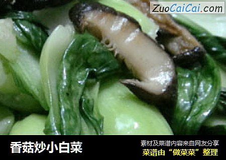 香菇炒小白菜