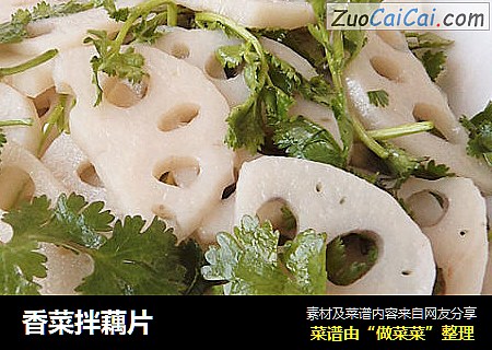 香菜拌藕片