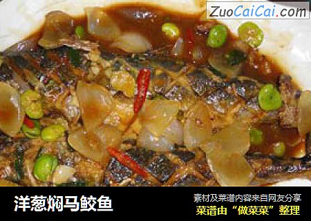 洋葱焖马鲛鱼