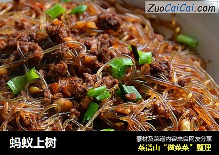 蚂蚁上树