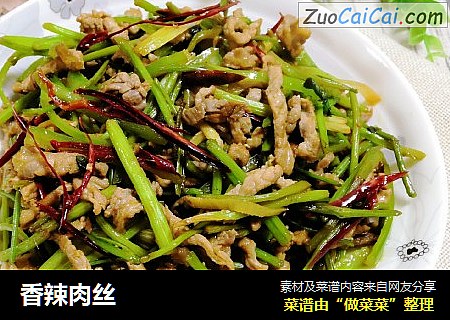 香辣肉丝