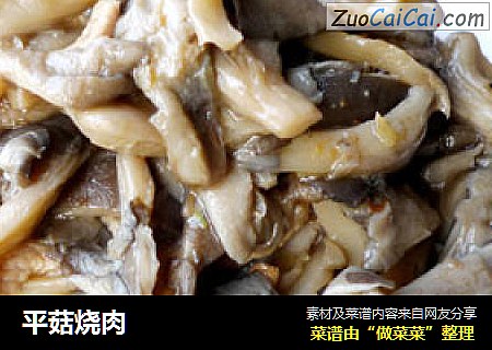 平菇烧肉