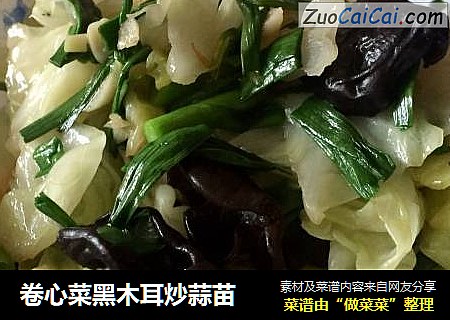 卷心菜黑木耳炒蒜苗