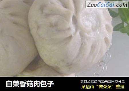 白菜香菇肉包子