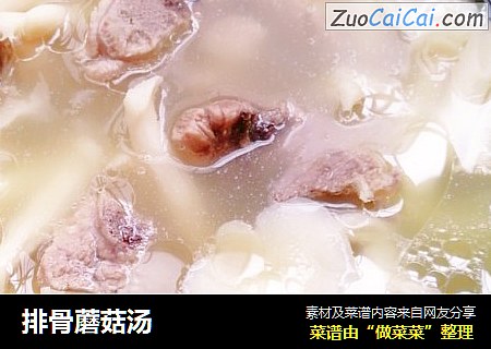 排骨蘑菇汤